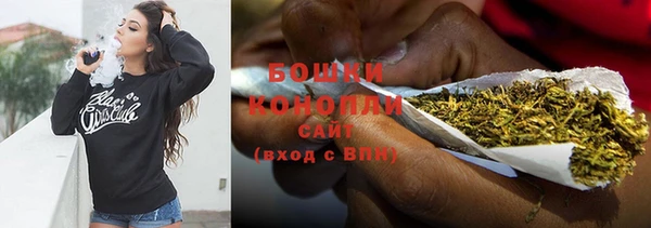 шишки Аркадак