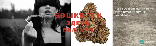 прущий лед Арсеньев