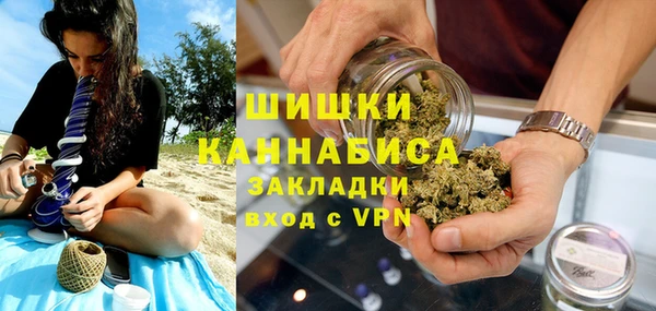 шишки Аркадак