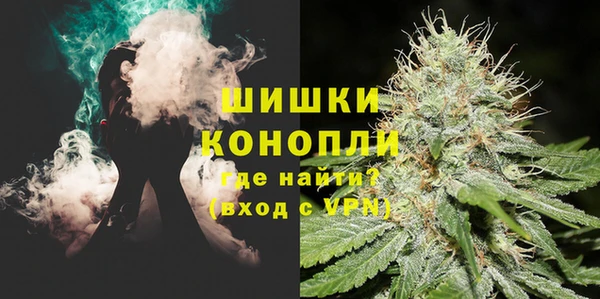 шишки Аркадак