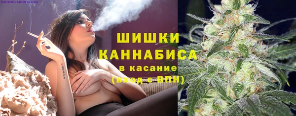 шишки Аркадак