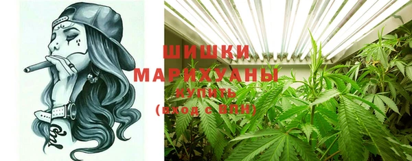 шишки Аркадак
