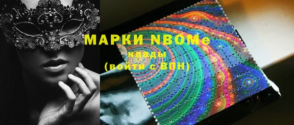 шишки Аркадак